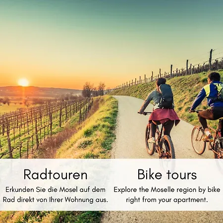 Winzerhaus Am Calmont - Terrasse Der Ruhe