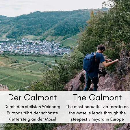 Winzerhaus Am Calmont - Terrasse Der Ruhe דירה *