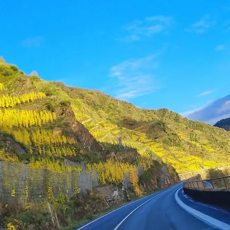 דירה Winzerhaus Am Calmont - Terrasse Der Ruhe