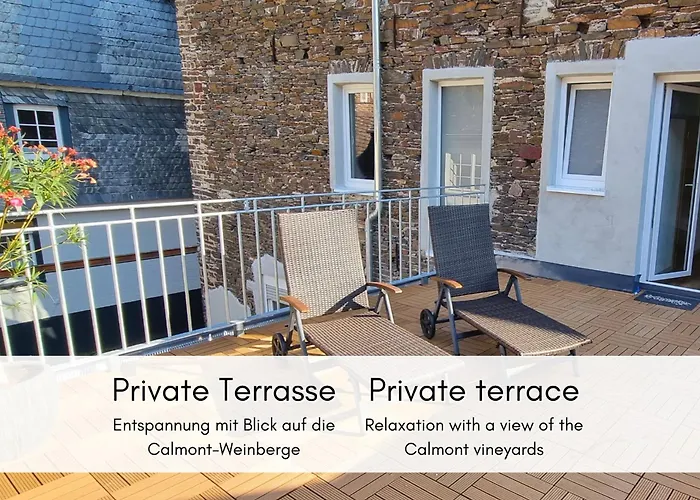 公寓 Winzerhaus Am Calmont - Terrasse Der Ruhe 布雷姆