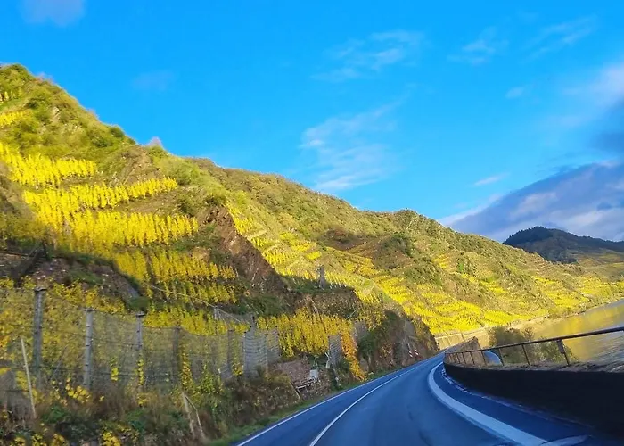 Apartamento Winzerhaus Am Calmont - Terrasse Der Ruhe